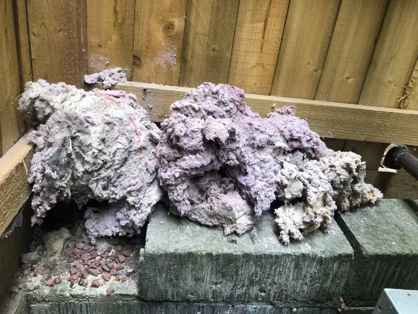 Improved Efficiency Following Laundry Duct Clean — image 3